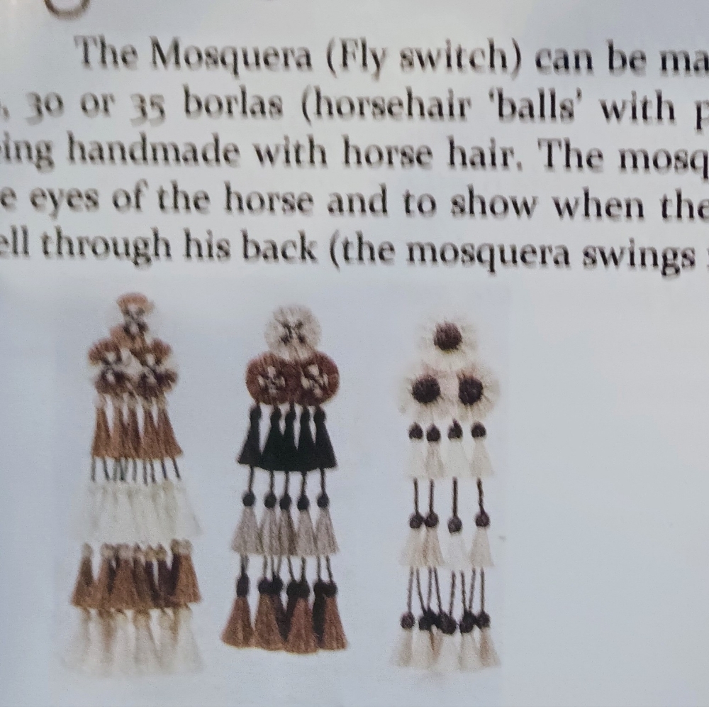 Mosqueros - Picture 4 of 5